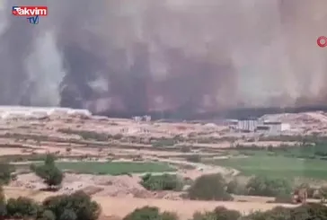 Çanakkale Ezine yangın!