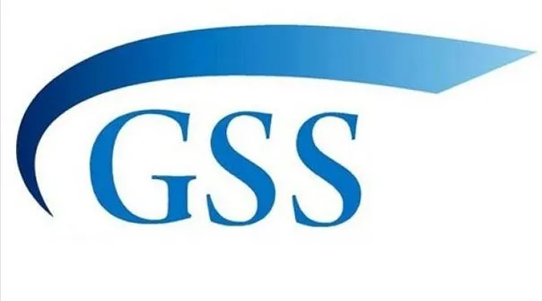 GSS SGK Bağkur borcu olanlar sorgulama işlemleri nasıl yapılır - 2019 GSS prim borcu silinecek mi?-1
