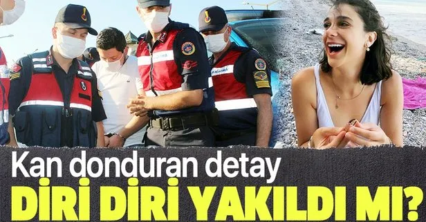 Pınar Gültekin cinayetinde kan donduran detay! Diri diri yakıldı mı?