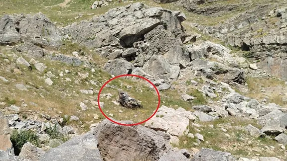 Sason Mereto'da facia: 5 ölü!