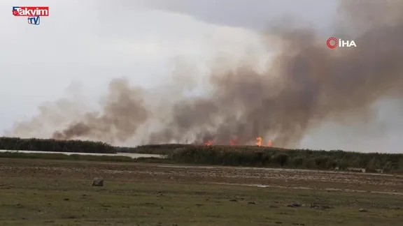 Bitlis'te büyük İron Sazlığı'nda yangın