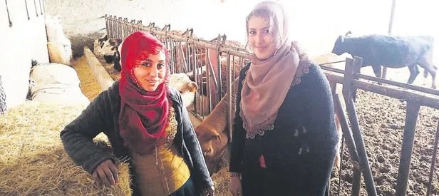 Televizyondan izlediler çiftlik kurdular