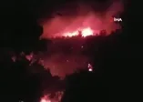 Manavgat'ta orman yangını