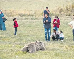 İnsanlık ayıbı!