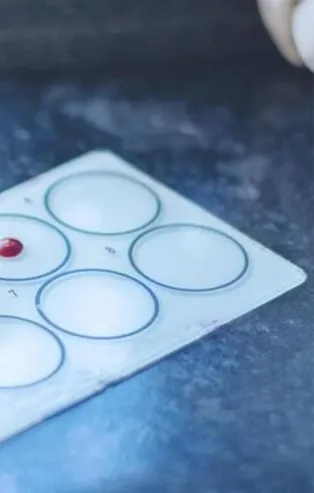 Bilim dünyası da doğruladı! Kan grubunuz kişiliğinizi ele veriyor: 0 grubu uyumlu, A grubu hassas...