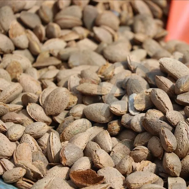 Bademle cildini koru