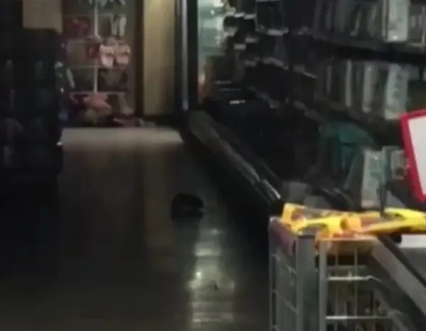 Sosyal medyada infial yaratan görüntüler! Edirne'de fırında yere dökülen unları kürekle toplayıp lavaş yaptı!-5