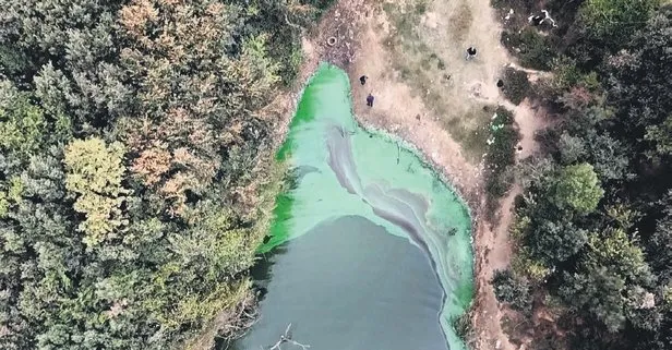 Şahintepe Gölü’ne kimyasal boşaltıldı!