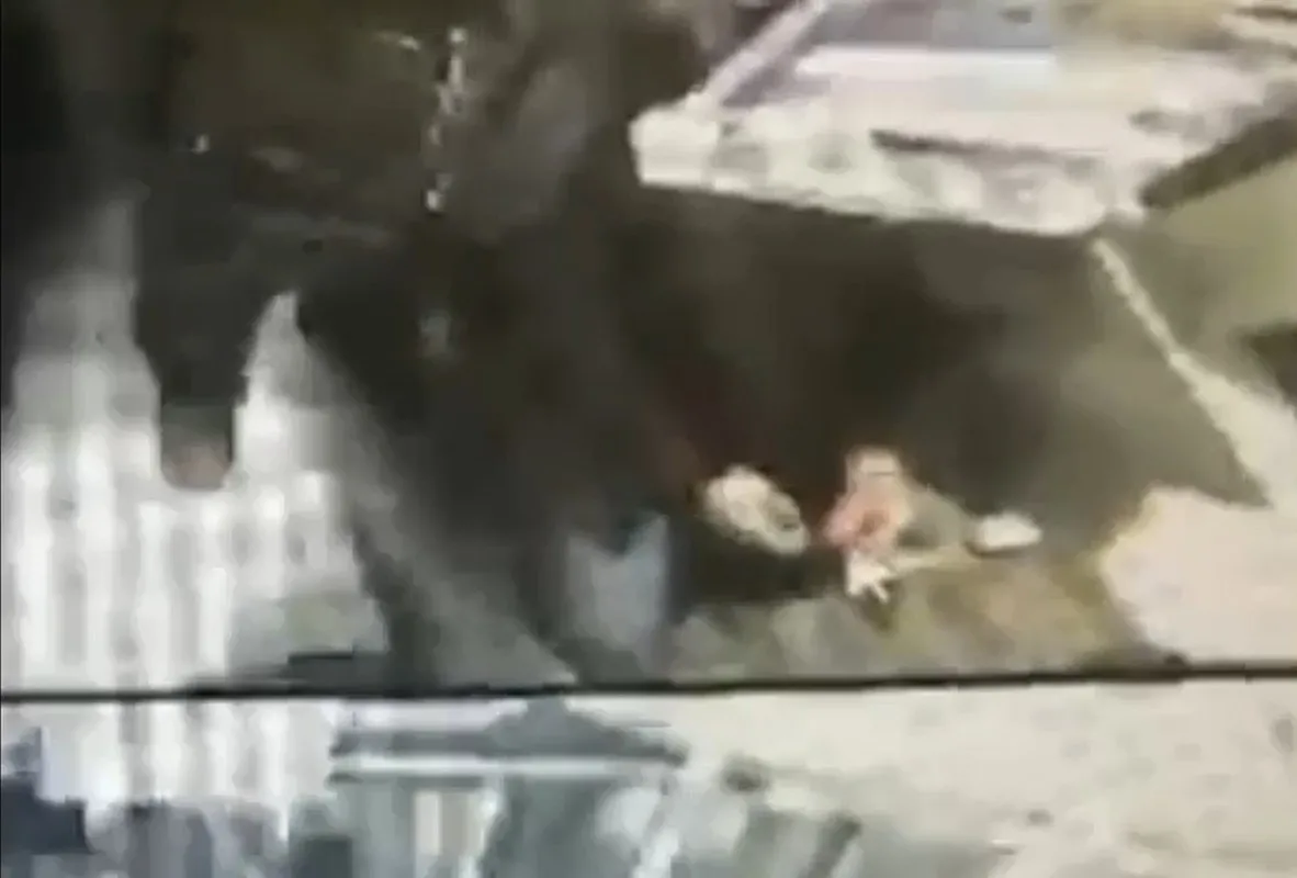 aynur-kanbur-cinayetinde-olay-yeri-kesfi-zanli-cinayeti-anlatacak-1781182394186.jpeg Mezdeke Aynur cinayetinde olay yeri keşfi: Katil cinayeti anlattı-11