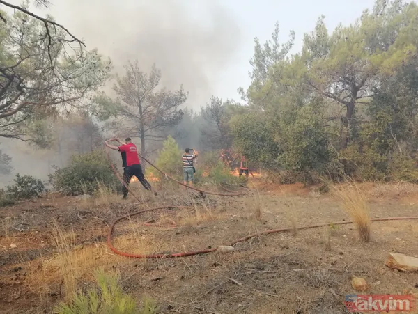 SON DAKİKA: Mersin Silifke'deki orman yangınında mezarlık zarar görürken şehidin kabri ve Türk bayrağı yanmadı - 11