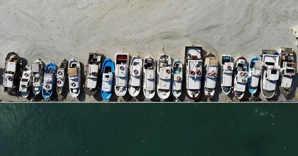 Müsilaj temizlik çalışmaları etkisini gösterdi! Marmara Denizi'nin güney kıyılarında dikkat çeken değişim