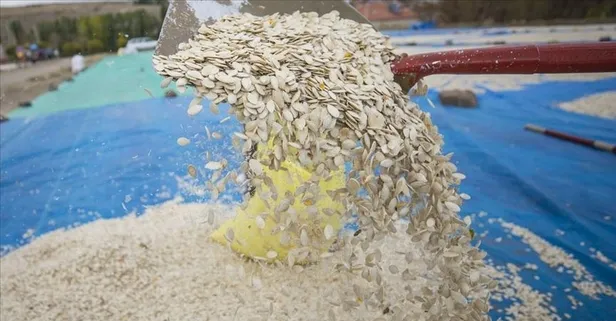 Diyabet riskini azaltan kabak çekirdeğinin faydaları nelerdir?