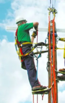 Bakanlık o ürünler için uyardı