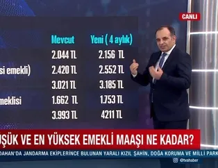 2000 öncesi SSK emeklisi maaşı kaç lira oldu? Bağ-kur tarım emeklisi ne kadar maaş alacak? En düşük memur maaşı kaç TL?