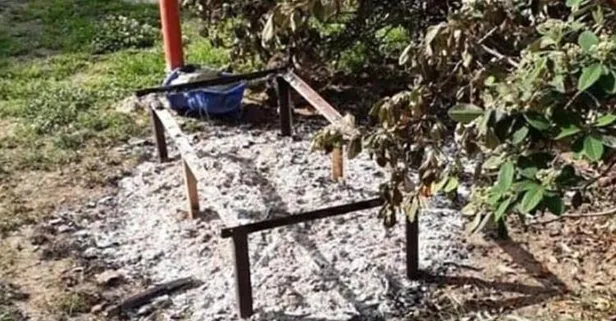 İzmir'de vahşet! Diri diri yaktılar...