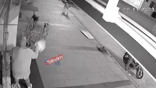 Sakarya Hendekte başıboş köpek dehşeti!