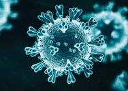 İngiltere’deki koronavirüs mutasyonu Türkiye’de var mı? Bilim Kurulu üyesi açıkladı! Mustayona uğrayan koronavirüse sosyal mesafe yetecek mi?