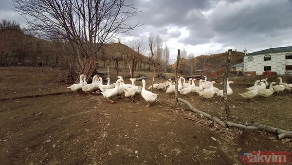"Yapamazsın" dediler! 300 bin lirayla girdi! 15 bin yavru siparişi aldı - 5