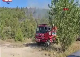 Tokat Erbaa’da orman yangını!