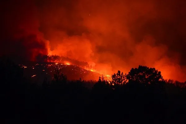 Son dakika: Adana Kozan'da orman yangını! 6 köyde 800 hane boşaltıldı-8