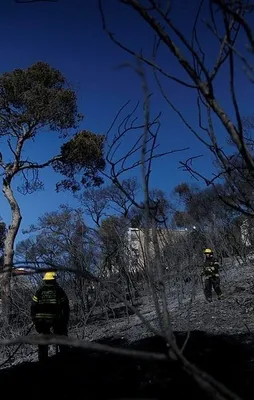 İşte İsrail'deki yangının bilançosu!