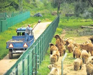 Alayının adı var!