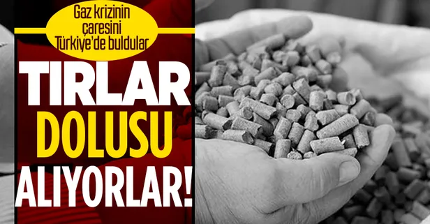 Bulgaristan Rusya'nın ambargosu sonrası çareyi Türkiye'de buldu! TIR'lar dolusu satın aldılar