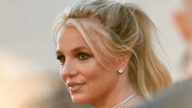 Çırılçıplak pozlar verdi yaptığını 'bu dünyaya çıplak geldik' diye savundu! Britney Spears çıkarıp çıkarıp bir kenara atıyor-9