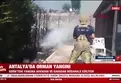 Antalya'da orman yangını!