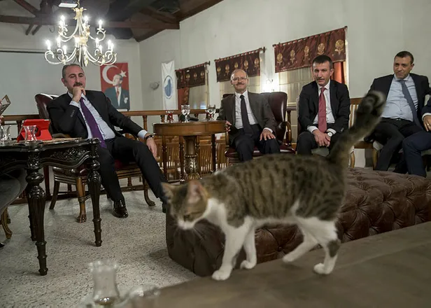 Son dakika: Adalet Bakanı Abdulhamit Gül'den YSK'nın gerekçeli kararıyla ilgili açıklama-3