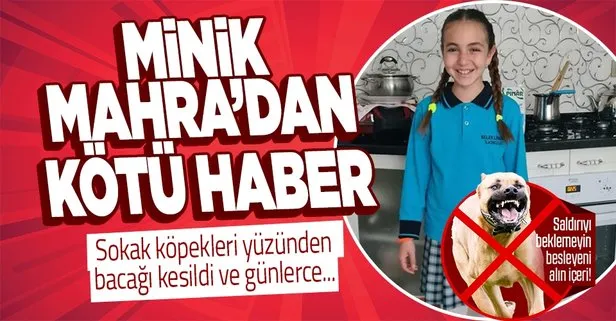 Antalya’da sokak köpeklerinden kaçarken sağ bacağı diz üstünden kesilen 10 yaşındaki Mahra Melin’in sol beyninde ağır hasar tespit edildi
