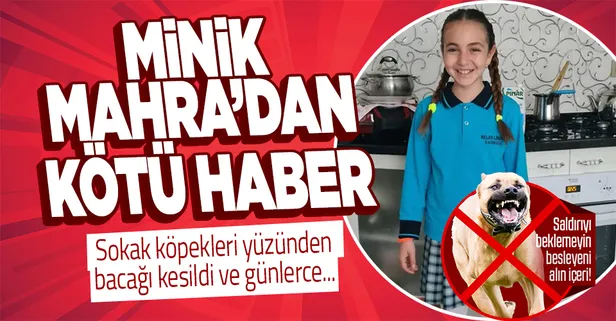 Antalya'da sokak köpeklerinden kaçarken sağ bacağı diz üstünden kesilen 10 yaşındaki Mahra Melin'in sol beyninde ağır hasar tespit edildi