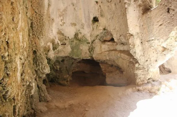 Bingöl'deki "kayıp şehir" iddiası ortalığı ayağa kaldırdı - 5
