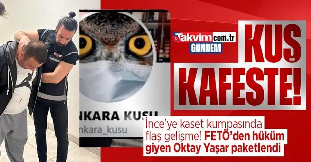 Ankara Kuşu adlı hesabın sahibi Oktay Yaşar gözaltına alındı