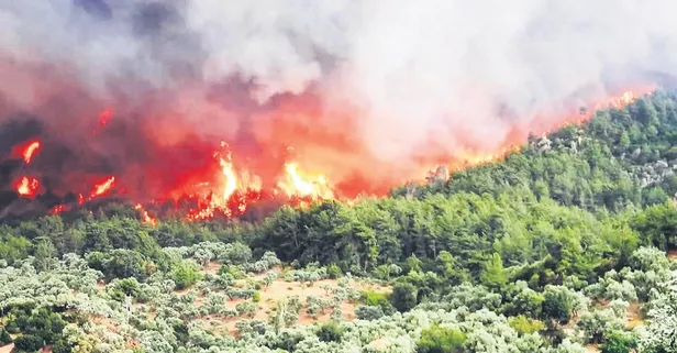 Aydın Çine'ye ulaşan alevlere havadan ve karadan müdahale