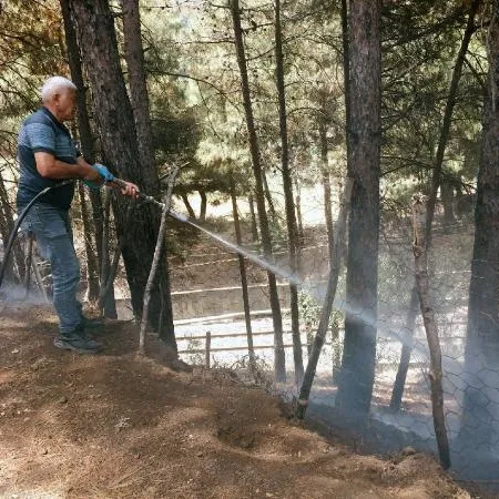 Osmaniye’de orman yangını
