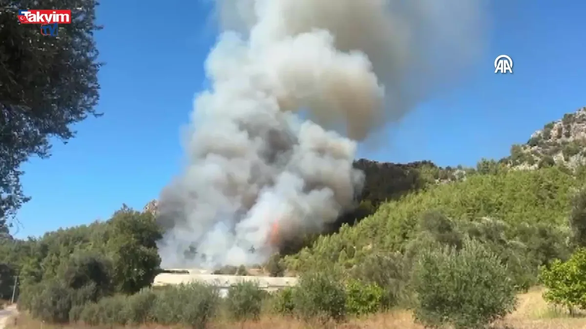 Antalya'da Ormanlık alanda yangın çıktı