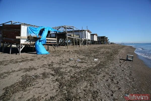 Antalya Aksu Kumköy Sahili'nde doğa katliamı! Kaçak barakalar yüzünden caretta carettaların yumurtalarının yüzde 56,9'u bozuk çıktı - 12
