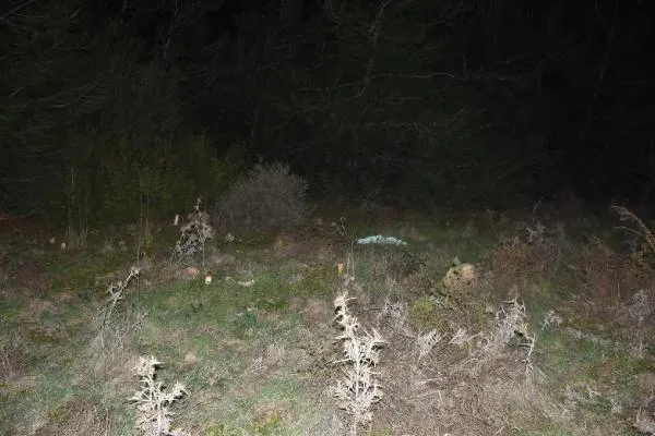 SON DAKİKA: İzmir'de vahşet: Genç kızın cansız bedeni ormanlık alanda battaniyeye sarılı olarak bulundu-5