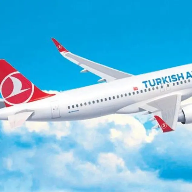 Kayıp bagaja son