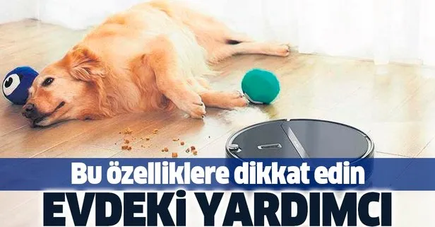 Evdeki yardımcı