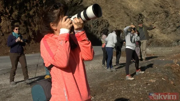 Muş'ta sonbaharın getirdiği renk cümbüşü harika görüntülere neden oldu - 6