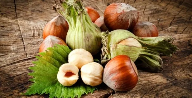 2-mart-2021-findik-fiyatlari-ne-kadar-oldu-2-mart-il-il-findik-fiyatlari-listesi-ordu-giresun-trabzon-zonguldak-1614666617634.jpg 2 Mart 2021: Fındık fiyatları ne kadar oldu? 2 Mart il il fındık fiyatları listesi! Ordu, Giresun, Trabzon, Zonguldak...-3