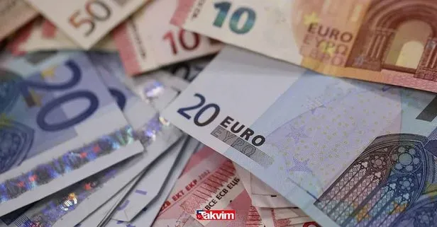 325 Euro aylık ödeme hesabınıza yatıyor! Annelere maddi yardım nasıl alınır?