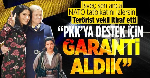 İsveç yok sana NATO! Terör örgütü destekçisi Kakabaveh, YPG/PKK’ya yardım için destek aldıklarını söyledi