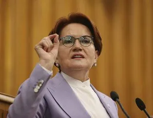 Akşener masada ben de varım dedi