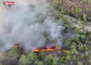 Antalya Kemer Ulupınar Mahallesi’nde orman yangını çıktı