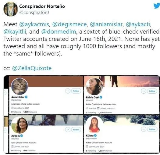 twitterdan-supheli-hareketi-sahte-hesaplara-once-mavi-tik-sonra-aski-1626207980264.jpeg
