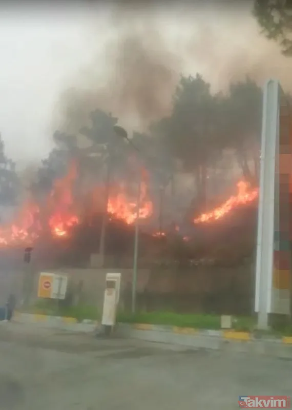 Marmaris'teki yangını '2 çocuk çıkardı' şüphesi: İfadeleri pedagog eşliğinde alınacak - 19