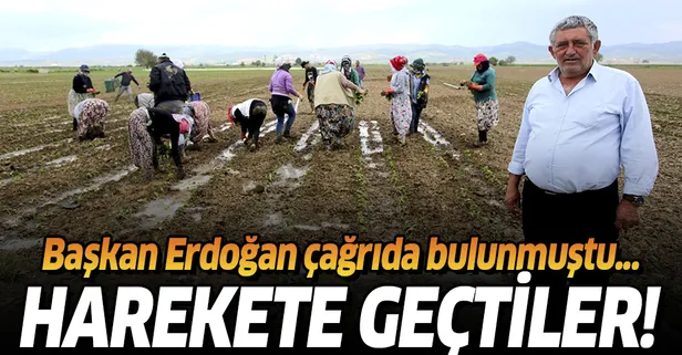 Başkan Erdoğan'ın "üretime devam" açıklamasının ardından çiftçiler harekete geçti!